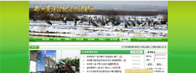 郑州黄河湿地自然保护区